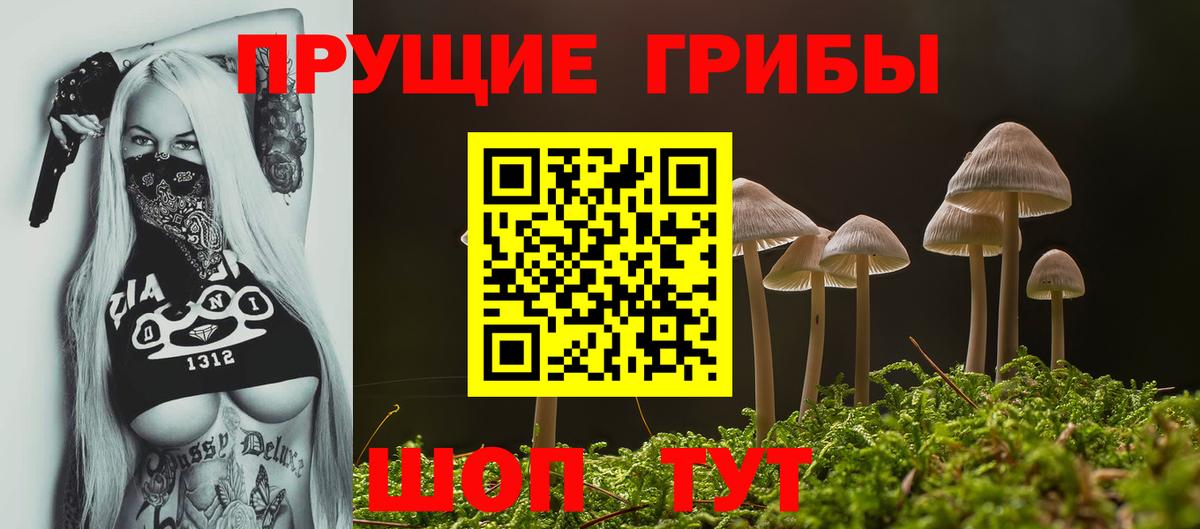 Псилоцибиновые грибы прущие грибы  Вход с VPN  Петрозаводск 