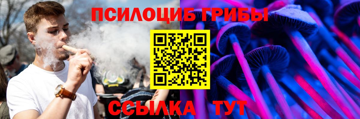 Галлюциногенные грибы Cubensis Петрозаводск