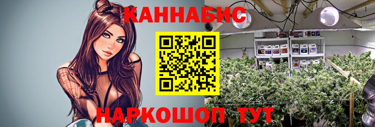 Шишки марихуана THC 21% Петрозаводск